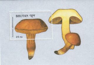Souvenir sheet from Bhutan featuring Xerocomus Sublomentosus mushroom.